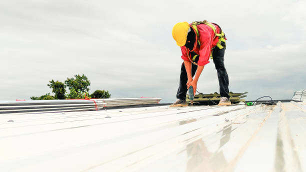 Best Roof Maintenance and Cleaning  in Princeton, WV